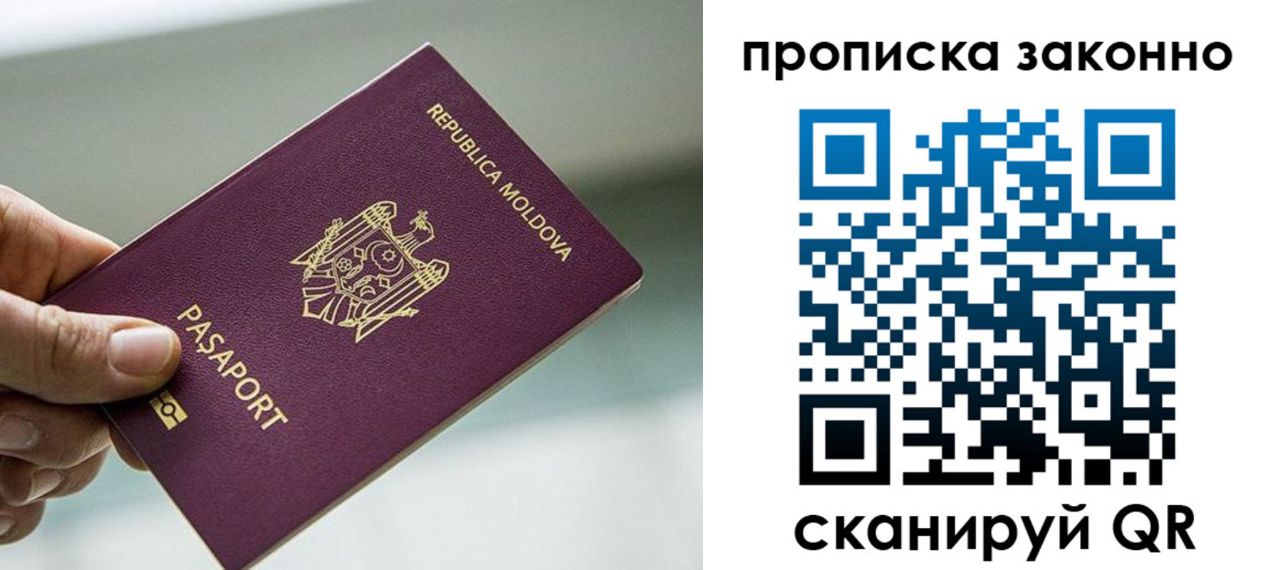 временная регистрация недорого в Ясном